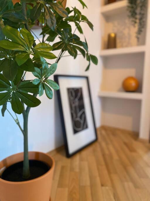 Valley Art House & Parking Bezplatny Podziemny Келце Екстериор снимка